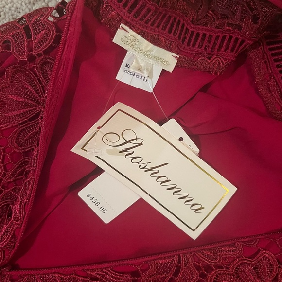 Beautiful red lace Shoshanna dress, Size 2 - Picture 3 of 4